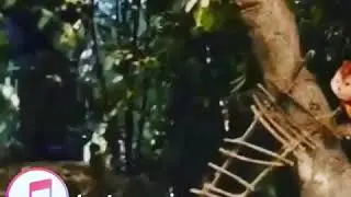 Dile be hal  kürtce süper 2018