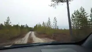 На природу в октябре. Серия 4. Атмосферная музыка и атмосферный лес.