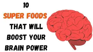 10 Super Foods That Boost Your Brain Power And Memory