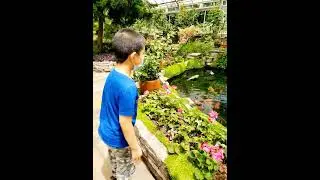 James Cheng Jacqueline Cheng Allan Garden botanical tropical forest humid greenhouse fish pond