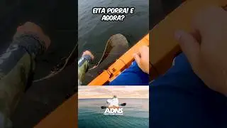 um peixe gigantesco #shorts