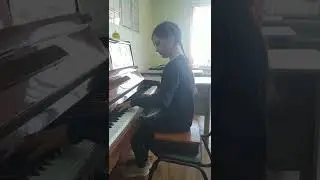 Висла - Польская народная песня - Литвин Мариам