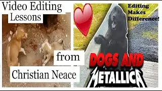 Editing Lessons from Metallica Dog Video by Christian Neace