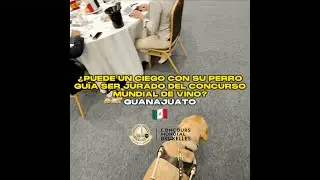 ¿PUEDE UN CIEGO CON SU PERROGUÍA SER JURADO DEL CONCURSO MUNDIAL DE VINO? | GUANAJUATO 🇲🇽