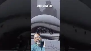How to survive a Chicago winter