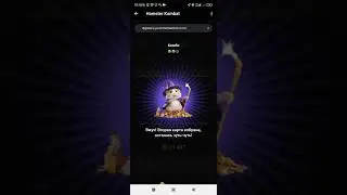Новое комбо в хомяке на 11.06.24 (Hamster Combat)  🐹