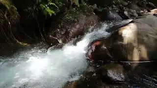 Ilog💚