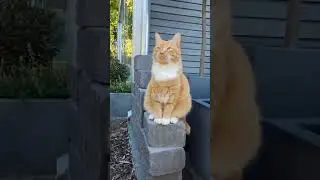 Место отдыха в саду🍀 Пергола🍀 Мебель для сада🍀