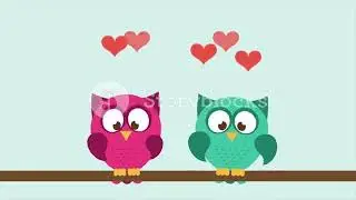 Owls couple in love, Video Animation Motion Background   Storyblocks Video