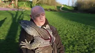 Dad can walk his pet lizard in the park... if it's closely monitored