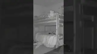 Most Terrifying Video on the Internet