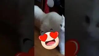 Влог 30ДЕКАБРЯ!!!!!!!!!