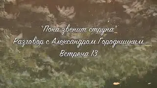 Пока звенит струна. Разговор с Александром Городницким. Встреча тринадцатая.
