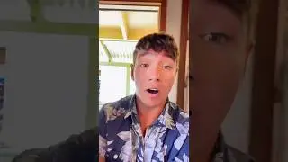 A Couple of Things NOT to do in Hawaii 🩴🛻