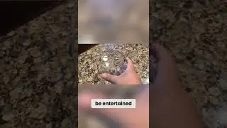 Why THIS Piggy Bank is Unbreakable Until You Want Money