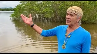 Carlos Buby - Ciranda dos Ventos