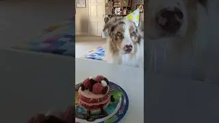 Все нормально у хулигана. День рождения Лео