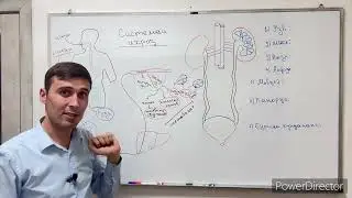 СИСТЕМАИ ИХРОЧ. ГУРДА.