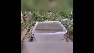 Пемза бетон  Гигроскопичность