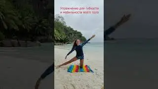 Приятная ГИБКОСТЬ для ВСЕГО ТЕЛА в ОДНОМ упражнении