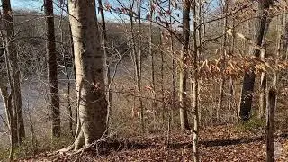 Ducks Geese & Peepers