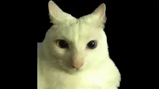 soft