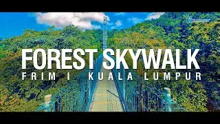 FOREST SKYWALK 🇲🇾 [4K]