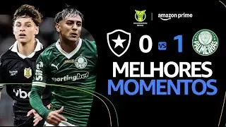 BOTAFOGO 0 x 1 PALMEIRAS | MELHORES MOMENTOS | CAMPEONATO BRASILEIRO 2025