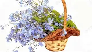 ERNESTO CORTAZAR __ FORGET - ME NOT