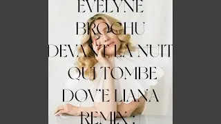Devant la nuit qui tombe (Dov'è Liana Remix)