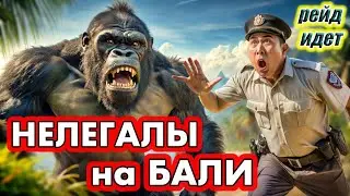 Кого сейчас ловят на Бали и что делать во избежании проблем.