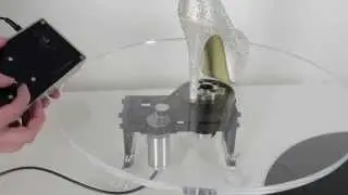 Video Turntable Crayfish Video 3