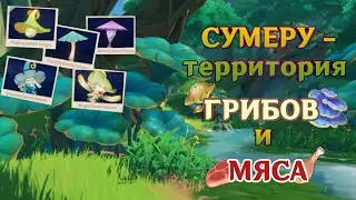 Приколы в Сумеру 