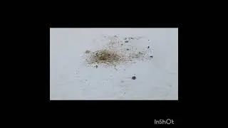 Новости с полей  .