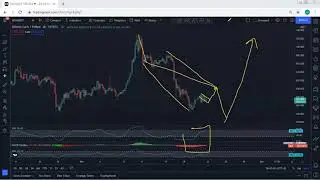 Bitcoin Cash Analysis for November 21, 2021 - BCH