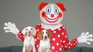 Dogs vs Creepiest Clown Ever! Funny Dogs Maymo, Potpie, Indie & Penny Pranked by Clowns!