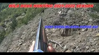 Wild Boar Hunting 2021-2022 Season / 2021-2022 Sezon Açılışı.
