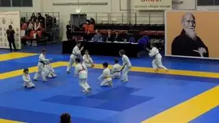 Детский фестиваль айкидо 2017