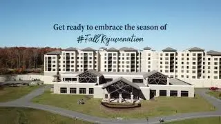 Make the most of this autumnal bliss with #FallRejuvenation! 🍁| YO1 Longevity And Health Resorts