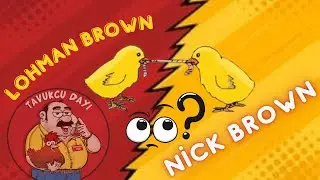 KLAVUZ YUMURTADA YARKA -LOHMAN BROWN YARKA FİYATLARI -  TAVUKCU DAYI