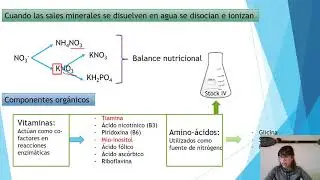 Componentes de medios de cultivo in vitro