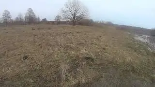 Охота на гуся 2023   добор подранка