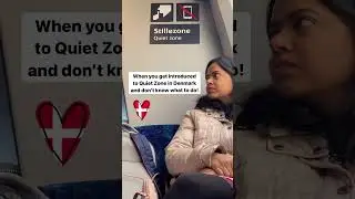 Quiet Zone in trains in Denmark is taken quite seriously | life in #denmark #shorts