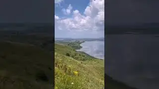 р. Волга цветёт. Птичий полет. Куйбышевское водохранилище.
