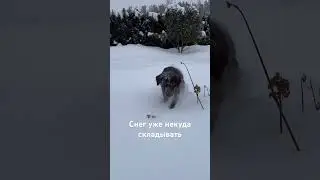 Устали от снега. Очень ждем весну 😅