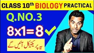 10th bio practical guess paper 2024|10th biology practical 2024| important practicals bio 10th class