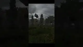 Парящие Камни ☢️ Dayz STALKER RP Life Beyond Hard RP 