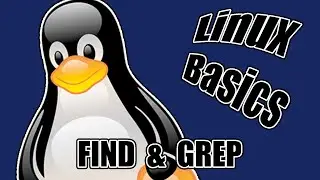 Bestanden vinden op een Linux systeem | Linux Basics