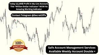 Today 12,195$ Profit My Live Account, With This 