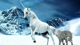 Unbelievable Discovery: Couple Spots Snow Leopard in Forest!Amazing moments